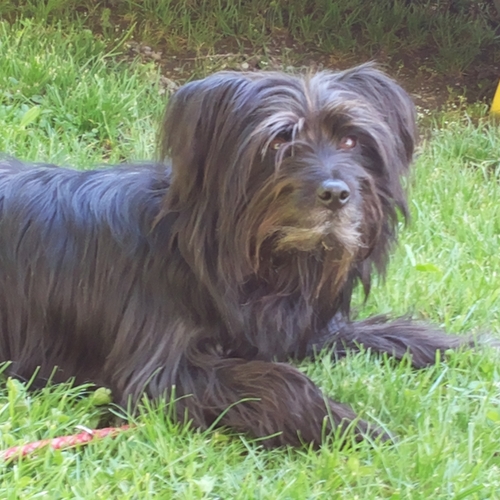 Ausflug im Mai 2016 (2)